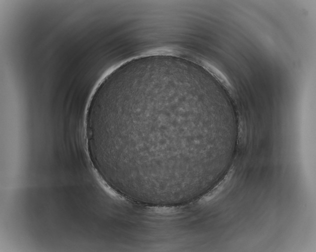 X0000112830800200909041501