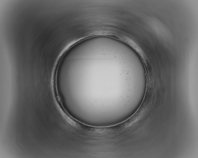 X0000112830803200909041501