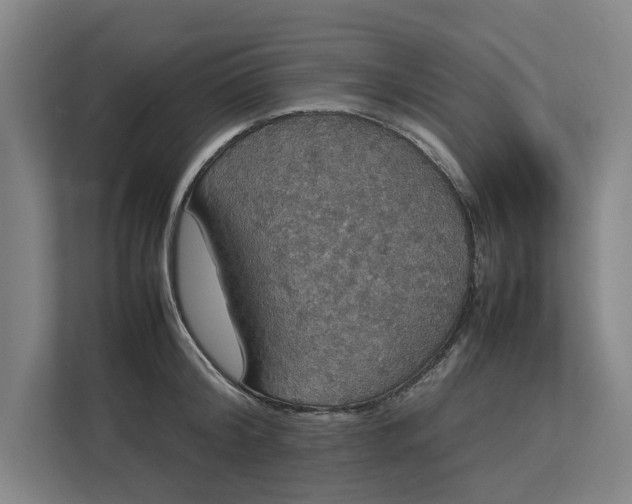 X0000112830804200909041501