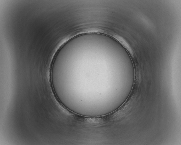 X0000112830805200909041501