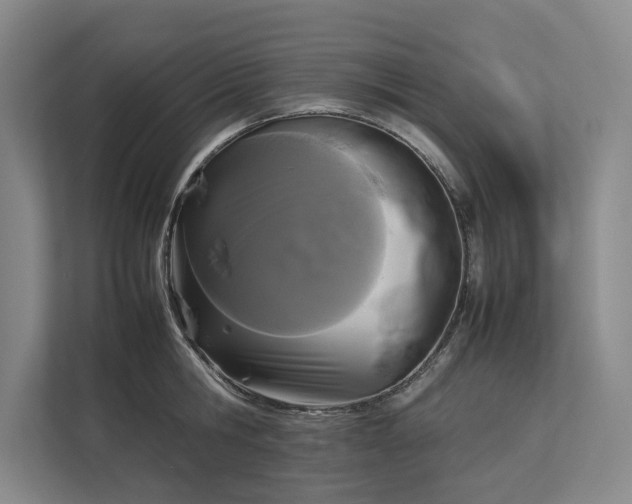 X0000112830806200909041501