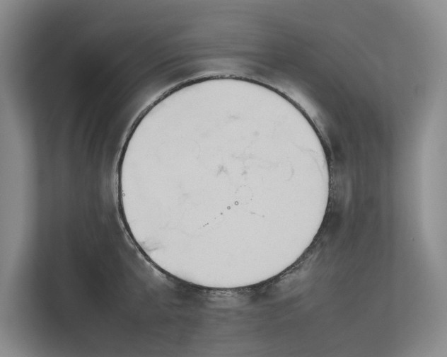 X0000112830807200909041501