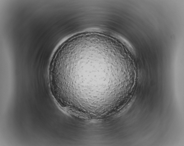 X0000112830808200909041501