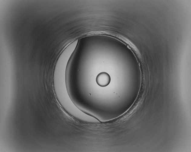 X0000112830809200909041501