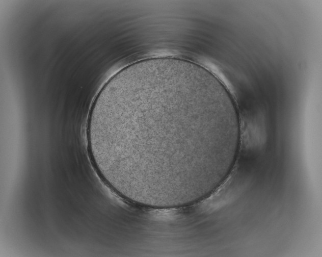 X0000112830810200909041501