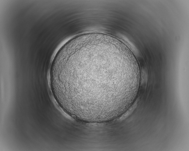 X0000112830812200909041501