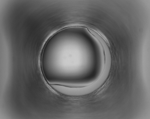 X0000112830813200909041501