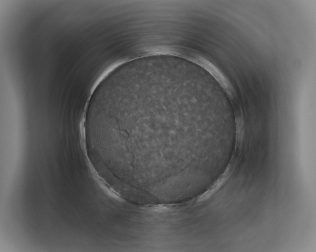 X0000112830814200909041501