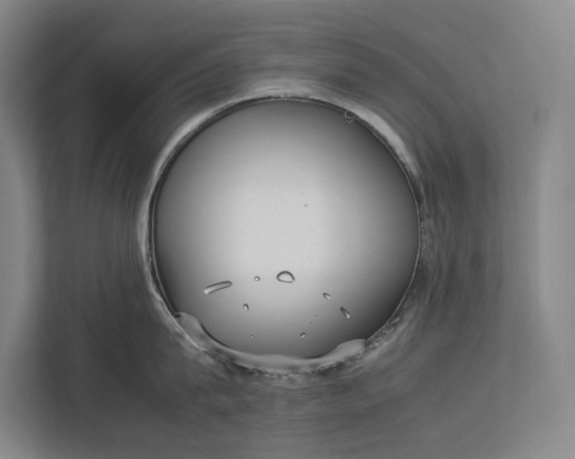 X0000112830815200909041501