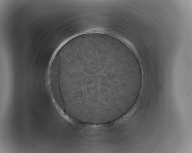 X0000112830816200909041501