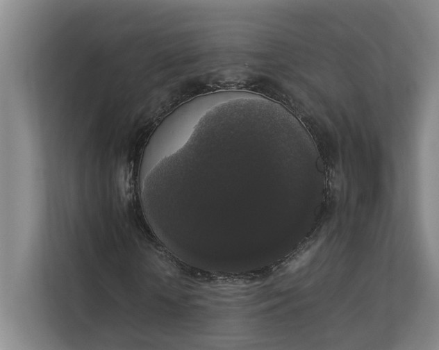 X0000112830818200909041501