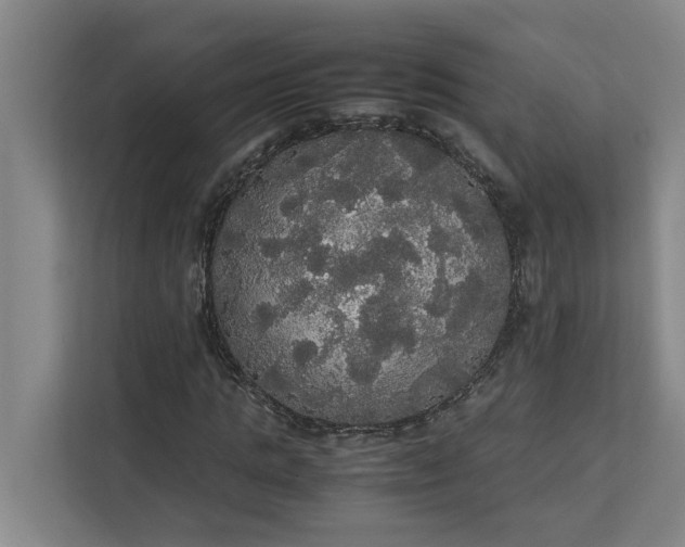 X0000112830821200909041501