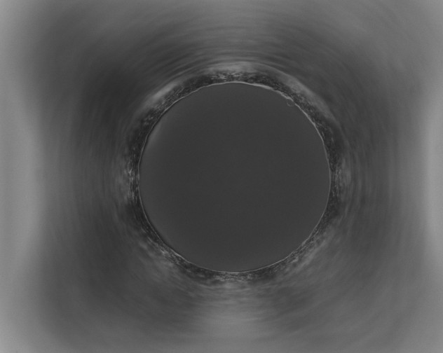 X0000112830822200909041501