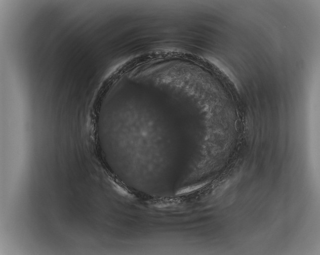 X0000112830823200909041501