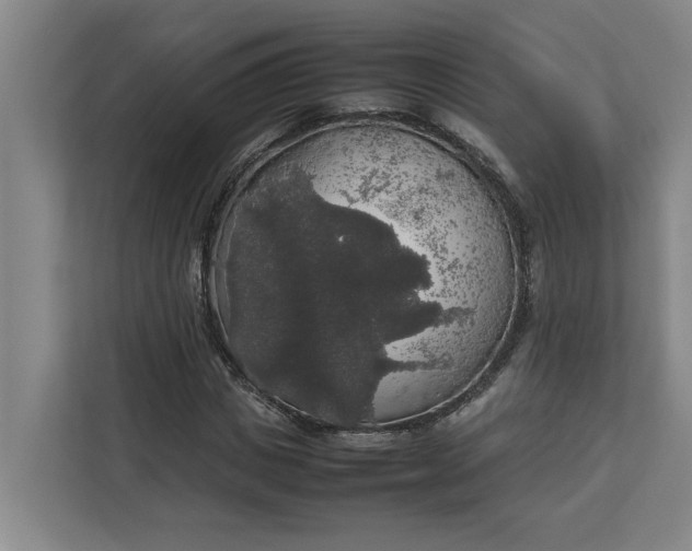 X0000112830825200909041501