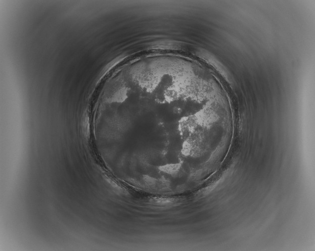 X0000112830829200909041501