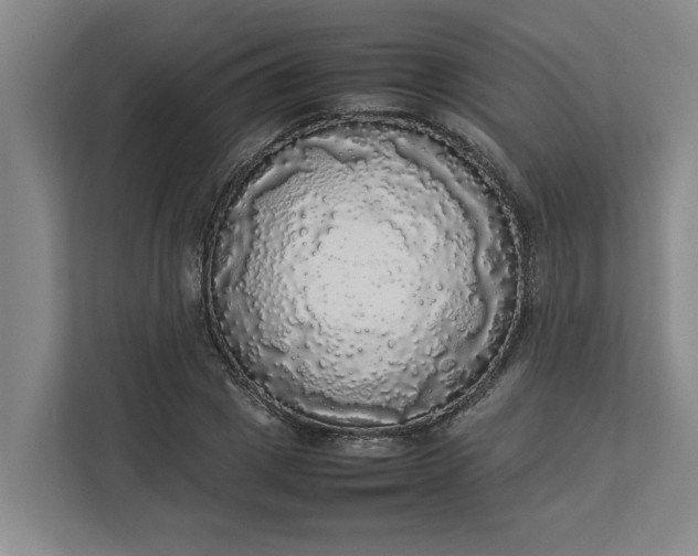 X0000112830833200909041501