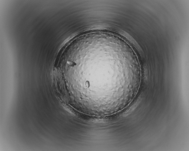 X0000112830834200909041501