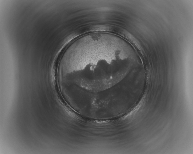 X0000112830835200909041501