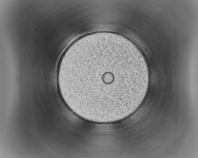 X0000112830836200909041501