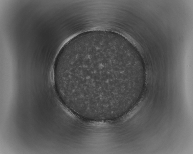 X0000112830838200909041501