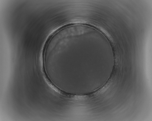 X0000112830840200909041501