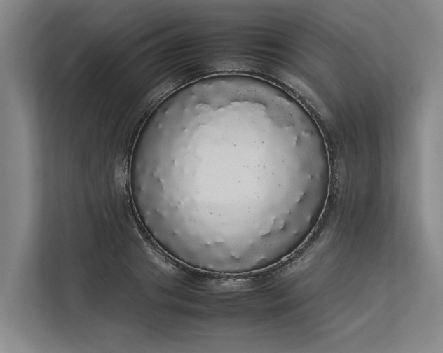 X0000112830841200909041501