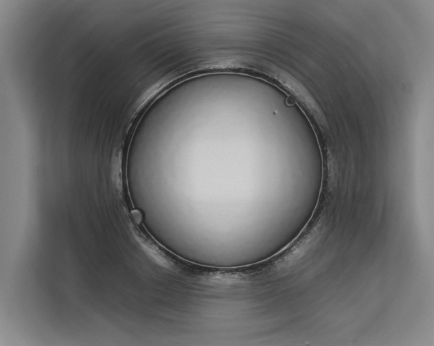 X0000112830842200909041501