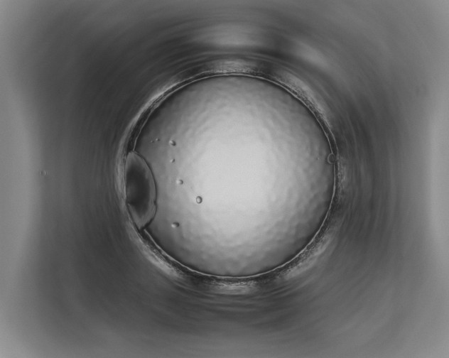 X0000112830843200909041501