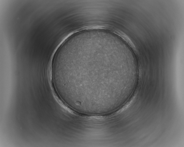 X0000112830844200909041501