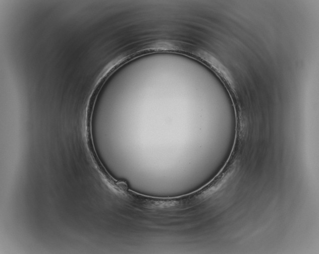 X0000112830845200909041501