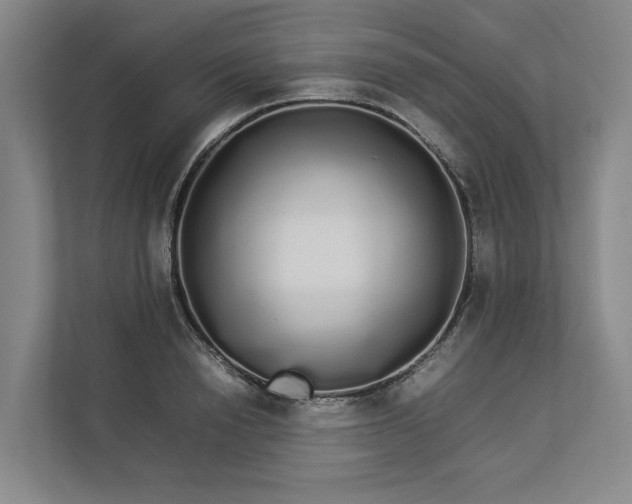 X0000112830846200909041501