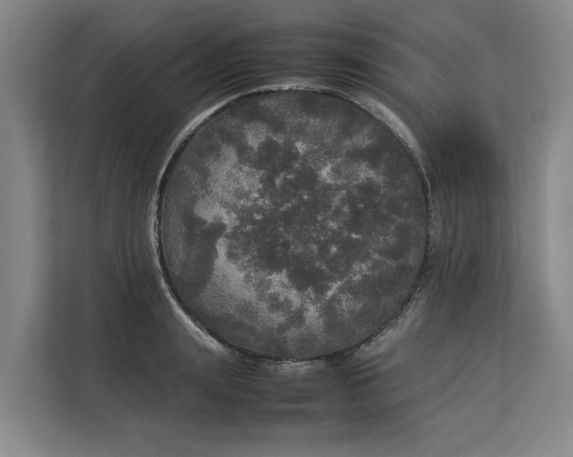 X0000112830847200909041501