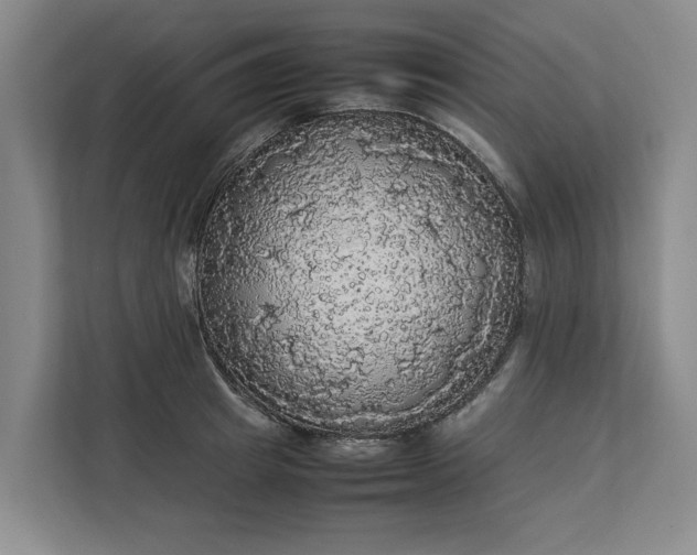 X0000112830849200909041501