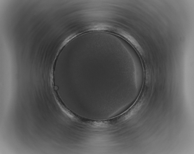 X0000112830850200909041501