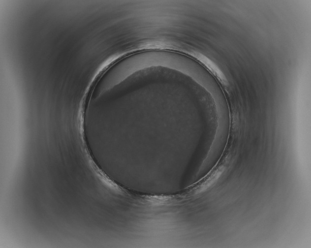 X0000112830854200909041501