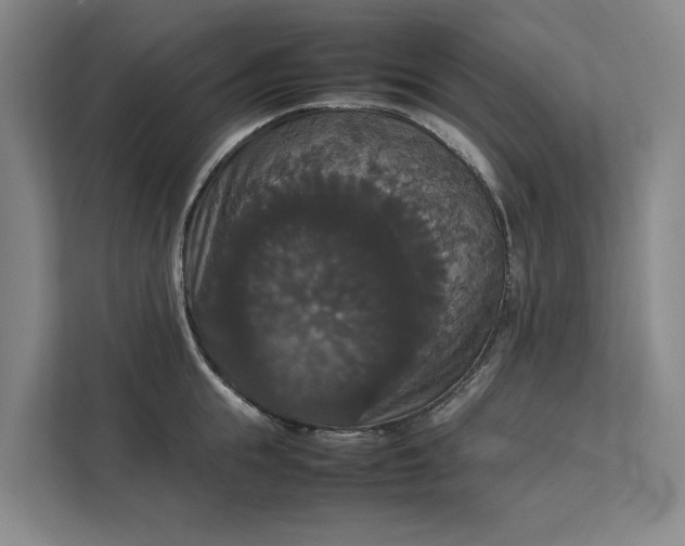 X0000112830855200909041501