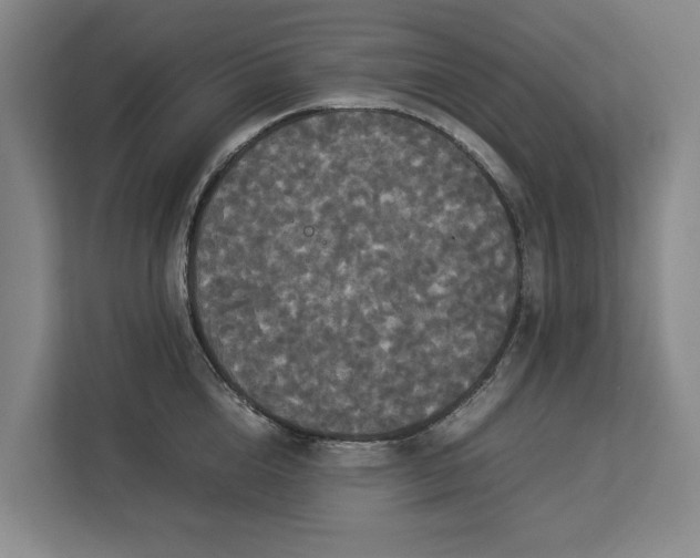 X0000112830856200909041501