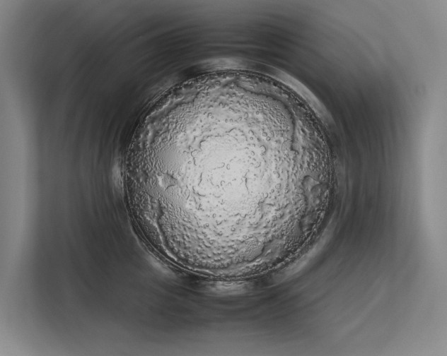 X0000112830857200909041501