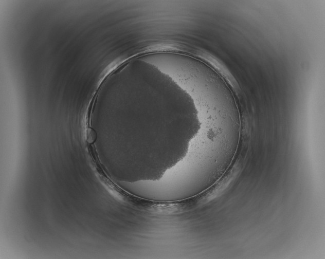 X0000112830858200909041501