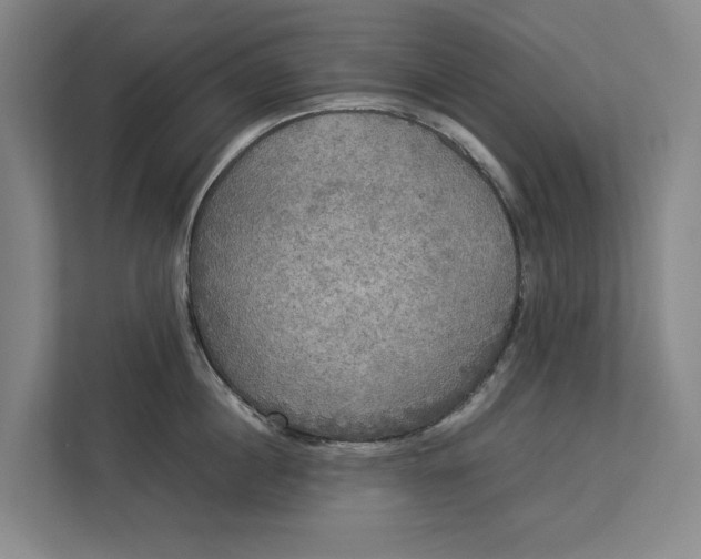 X0000112830860200909041501