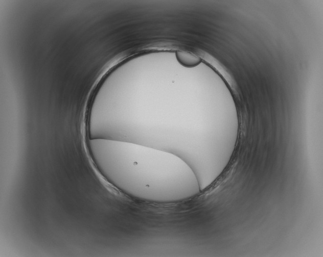 X0000112830861200909041501