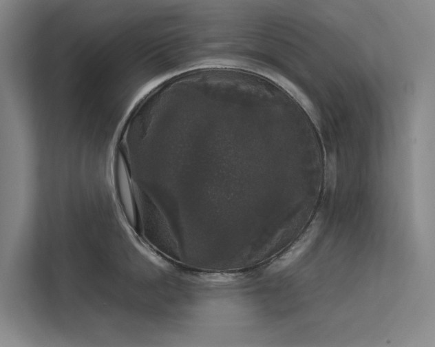 X0000112830862200909041501