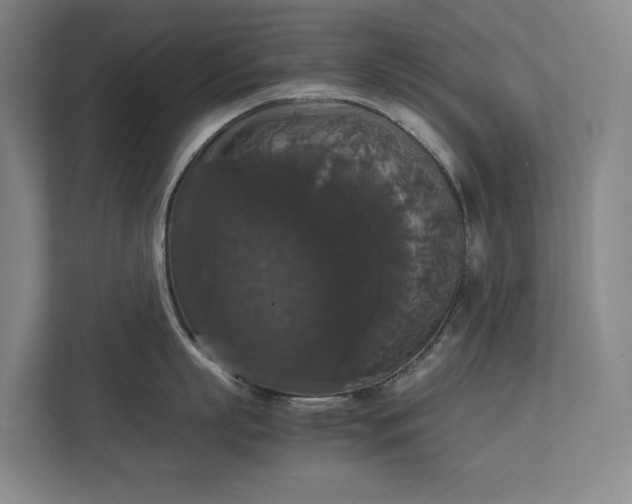 X0000112830863200909041501