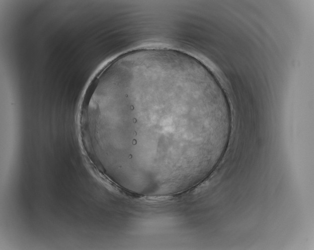 X0000112830864200909041501