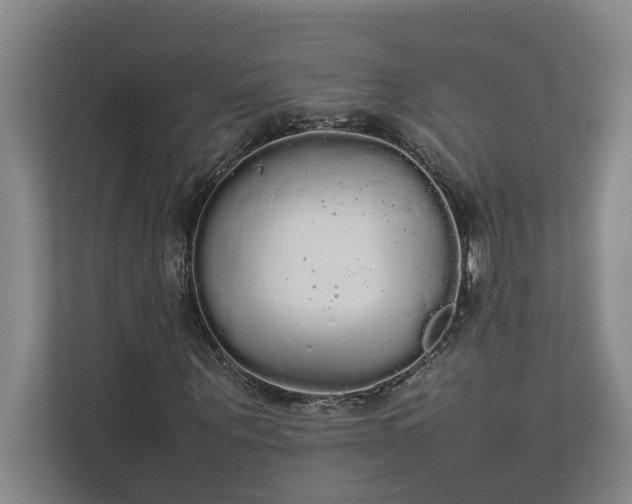 X0000112830867200909041501