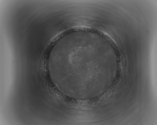 X0000112830870200909041500