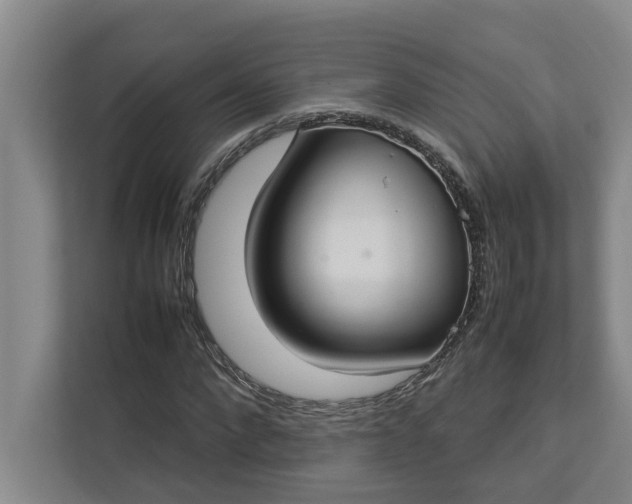 X0000112830872200909041500