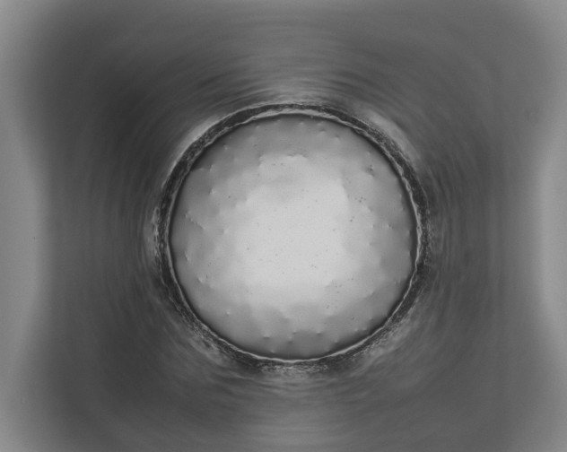 X0000112830875200909041500