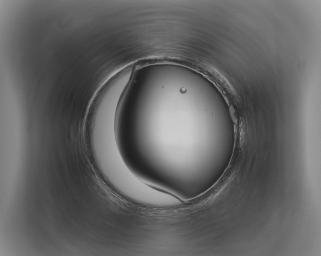 X0000112830876200909041500